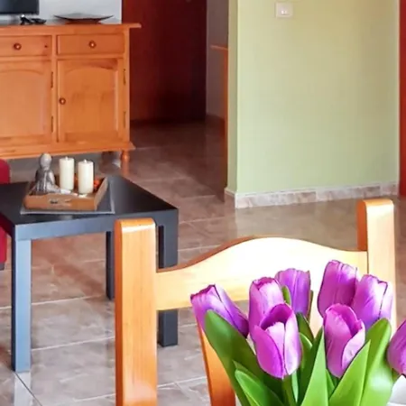 Apartment Santiago Terrace: Beachside With Wi-fi Puerto de Santiago (Tenerife)